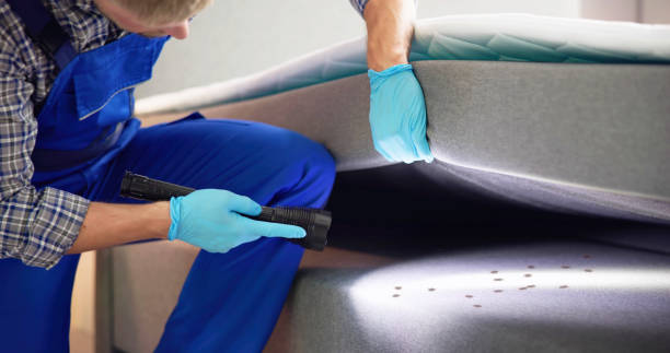 Best Commercial Pest Control Services  in Air Force Academy, CO