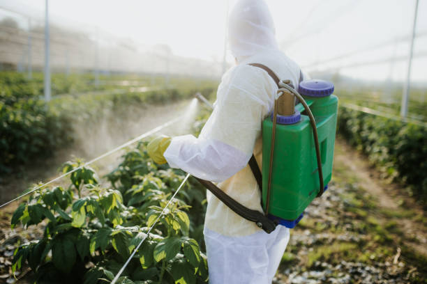 Professional Pest Control in Air Force Academy, CO